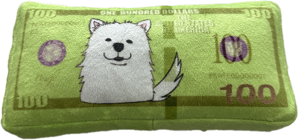 $100 SCHNEESKI BUCKS